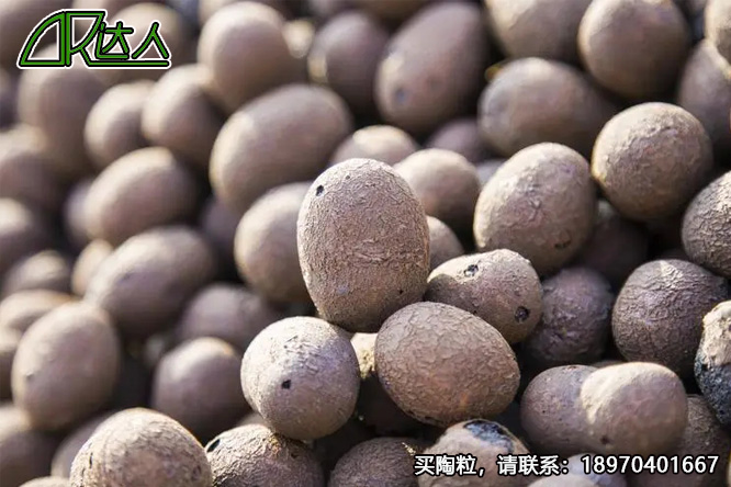 建筑陶粒、回填陶粒